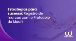 Registro Internacional e o Protocolo de Madri